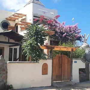 Appartement Alma De Cedrela